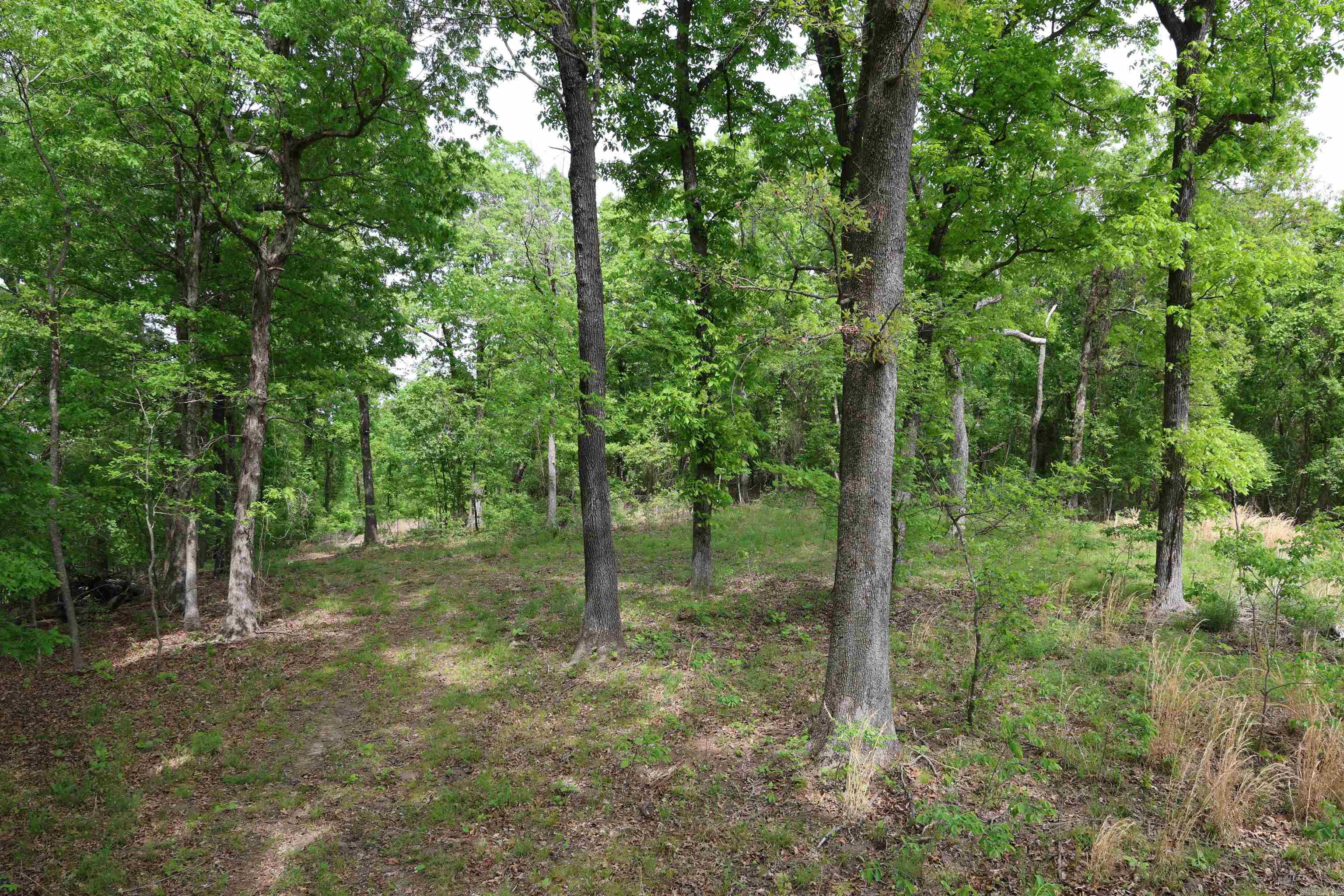 RURAL 50 ACRE ARKANSAS OZARKS HUNTING PROPERTY ā BORDERING SYLAMORE NATIONAL FOREST If you're looking for privacy, seclusion, and exceptional hunting opportunities, this 50.03-acre property is a must-see. Located in one of the most scenic parts of the Ozarks, half of the land borders the Sylamore National Forest, providing easy access to public land for hunting, horseback riding, or simply enjoying nature. Conveniently located, this property is less than a mile from the Buffalo River and just a short drive from multiple boat ramps on the White River. Itās accessed via a private, gated easement road off Plumtree Trail, surrounded by a majority of oak timber and scattered limestone rock formations that evoke the true wilderness of the Ozarks. Electricity is available on Plumtree Trail, though needs to be connected to the property. Listed at a great price of $159,900!