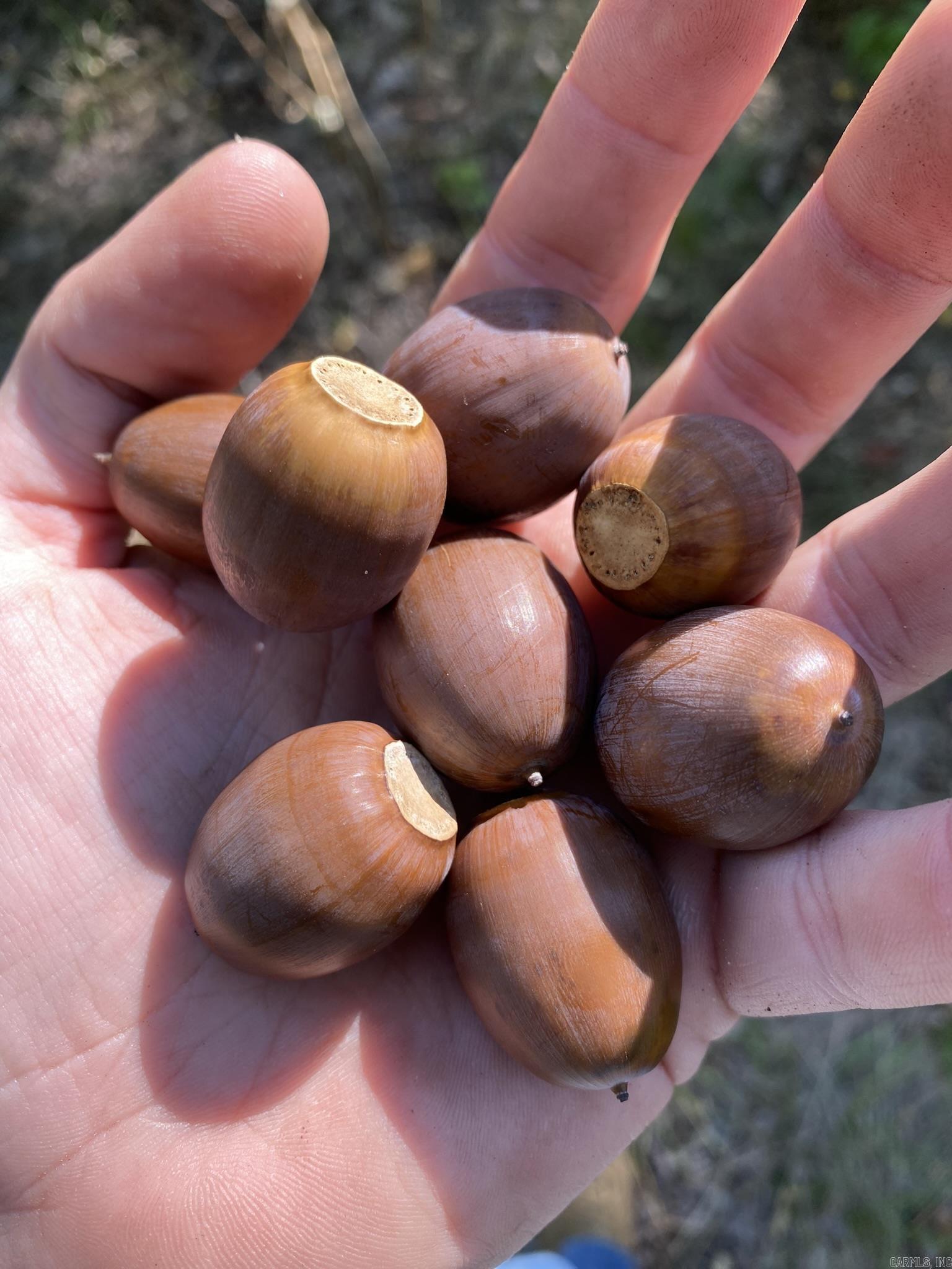 Metes & Bounds - Land