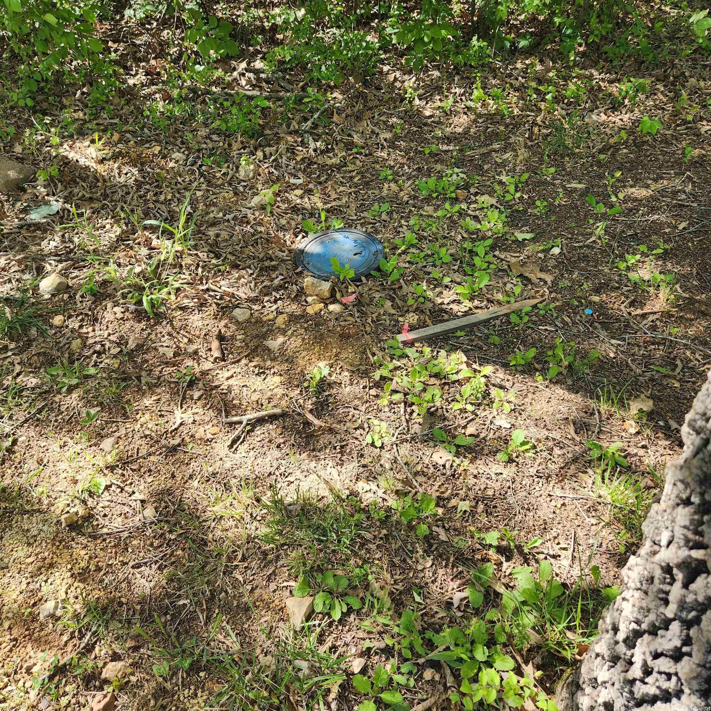 Choctaw Second - Land