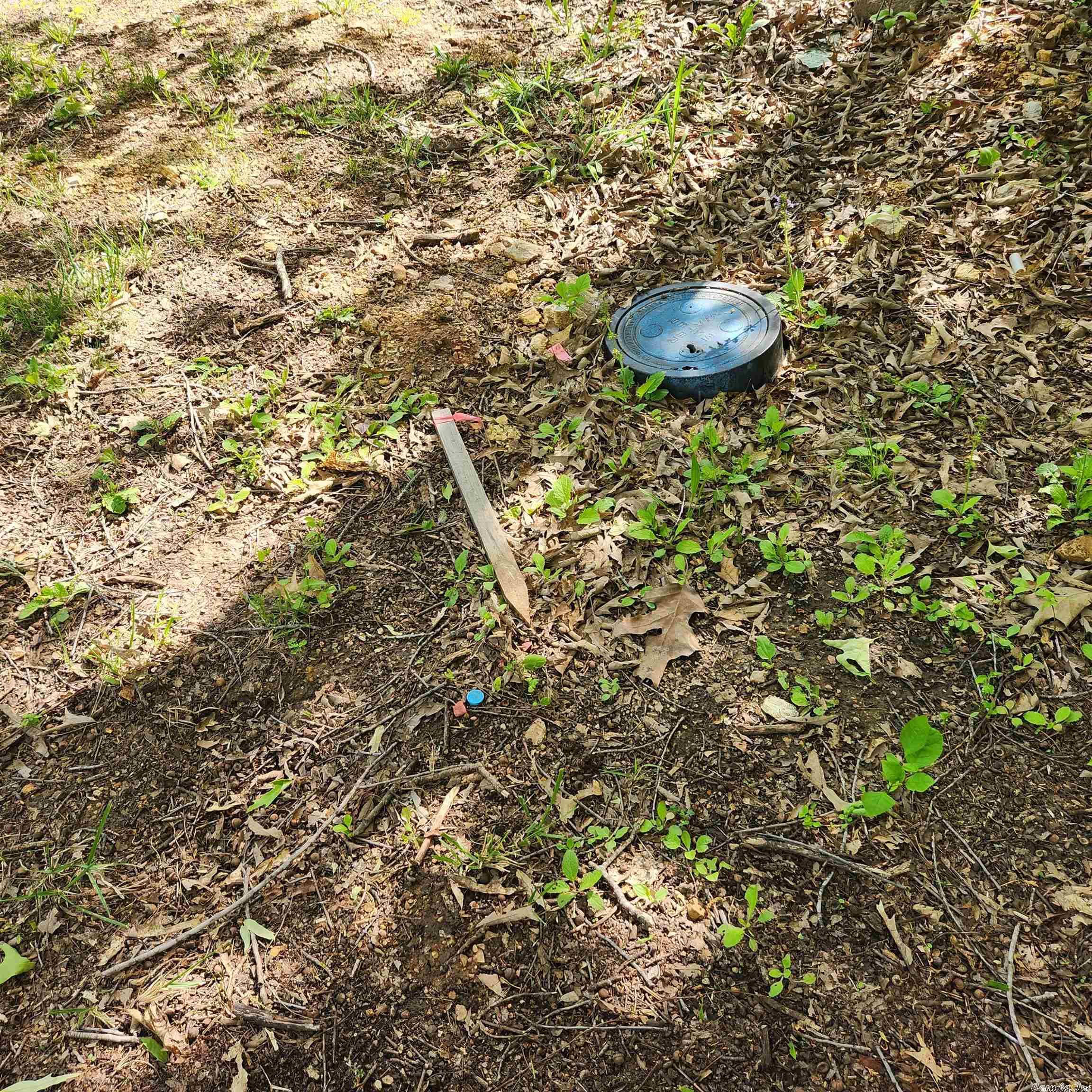 Choctaw Second - Land