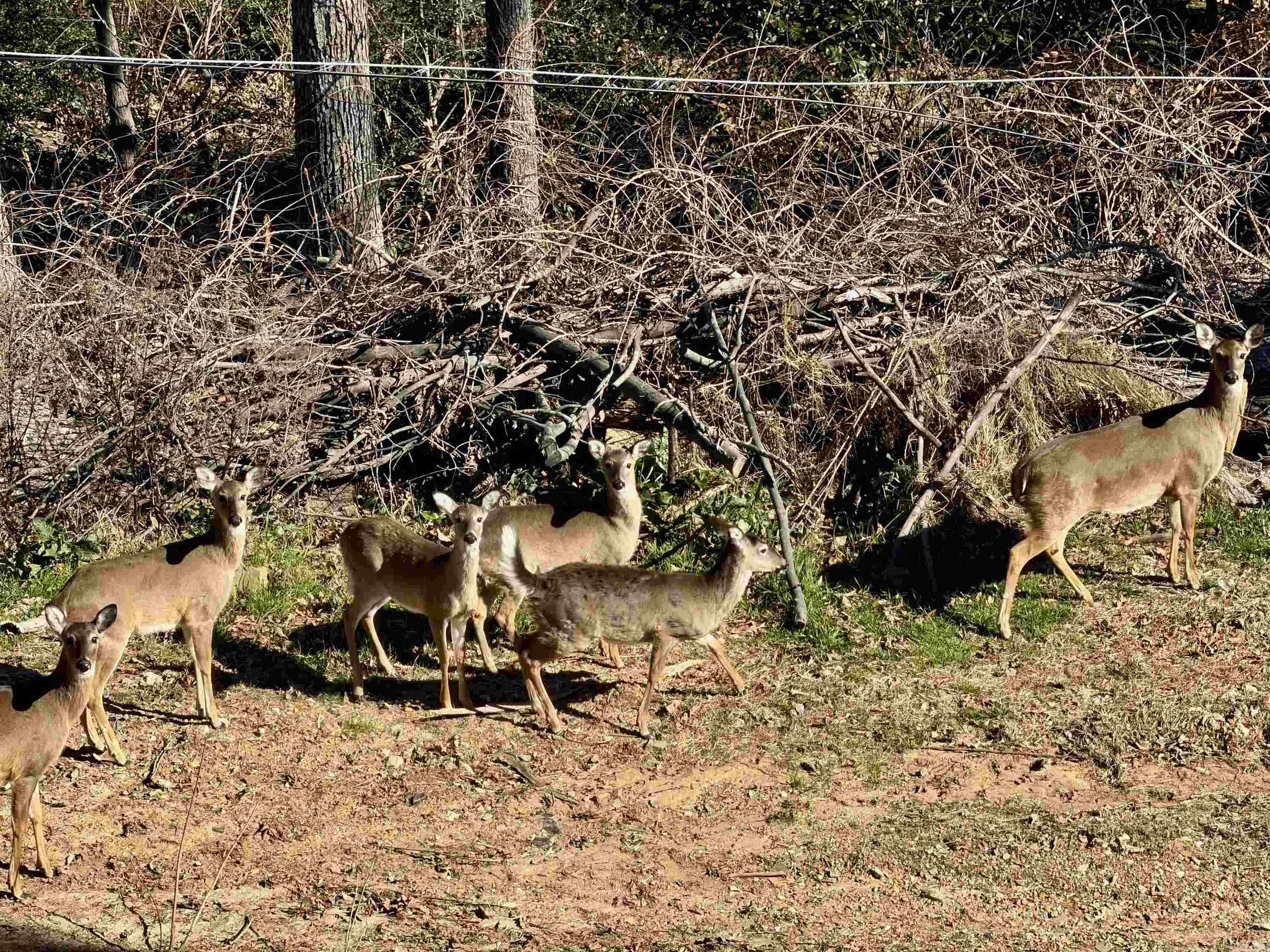 KINGWOOD PLACE - Residential