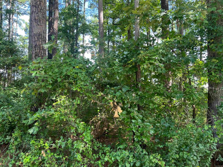 Looking to build in White Hall School District? Here you go! This lot could be yours for building your new property! Call today for more information.