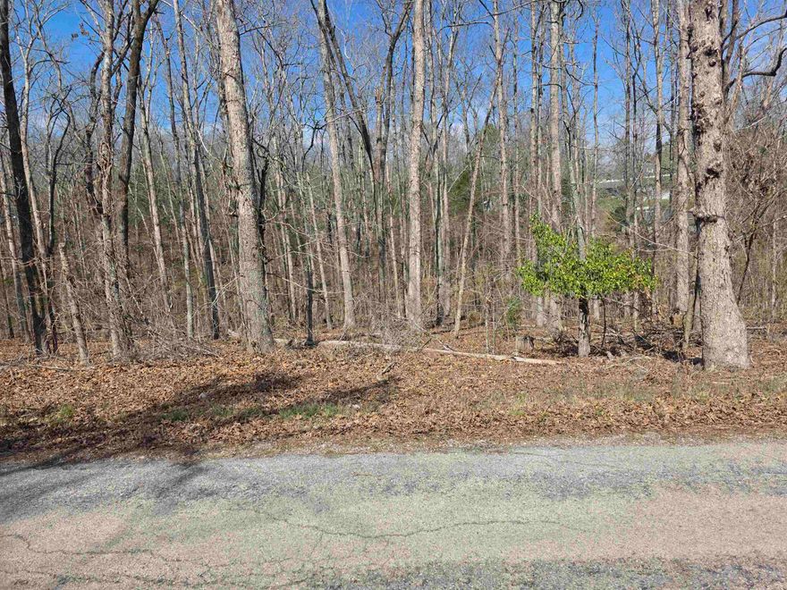 Nice lot with a gentle front to back downward slope. This lot sits up above the wet weather creek that flows through the Powhatan valley. Lots of trees and lots of nature and wildlife. Come check this lot out, check out the view and see where you want to put your vacation home or your forever home. Retire here and fish 7 different lakes and golf 2 different 18-hole golf courses. Don't forget about the beautiful South Fork River that flows right through the Village. Shop in Old Hardy town and trout fish the Spring River. That's living the Cherokee Village lifestyle.