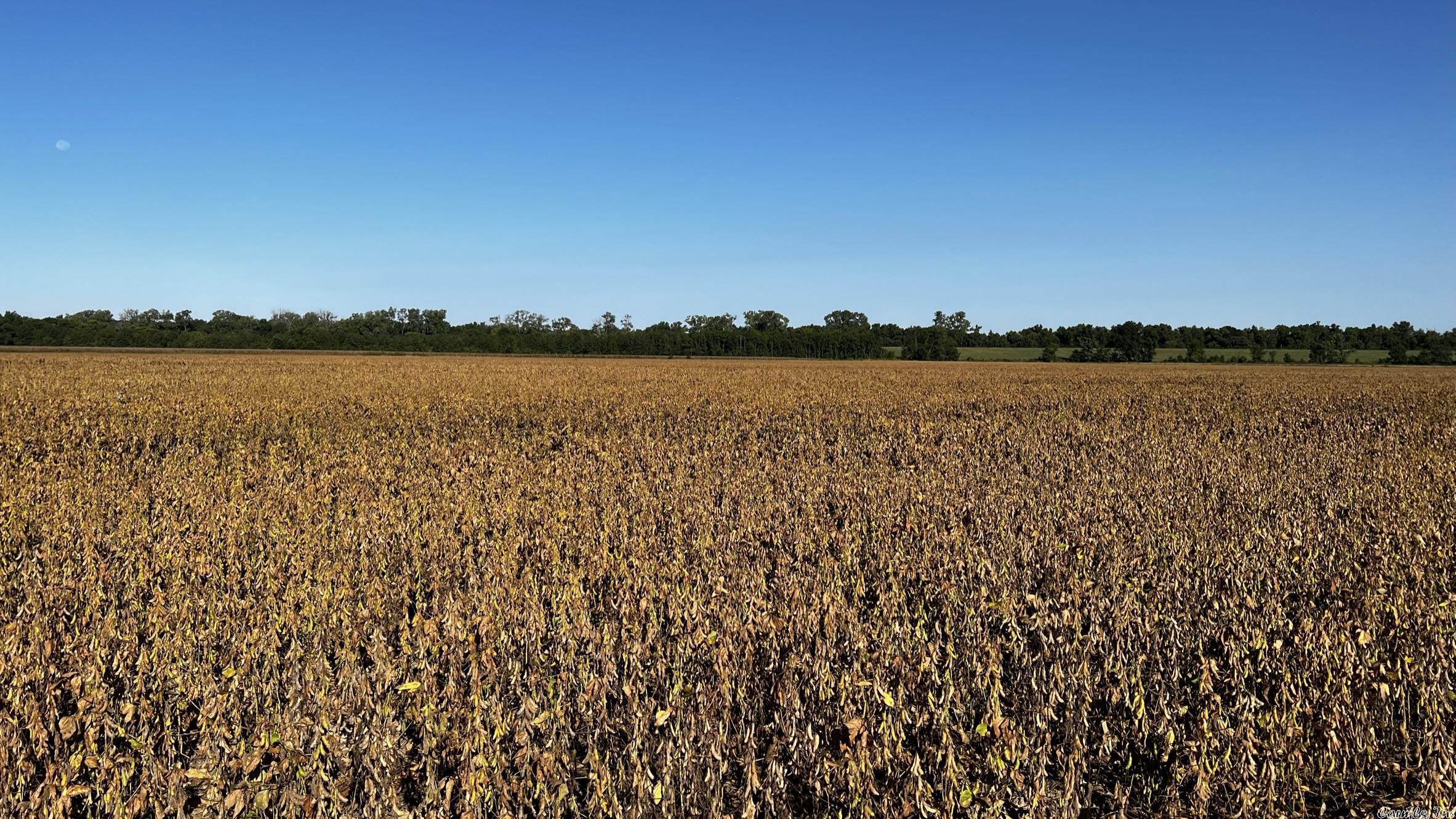 Not in Subdivision - Farm