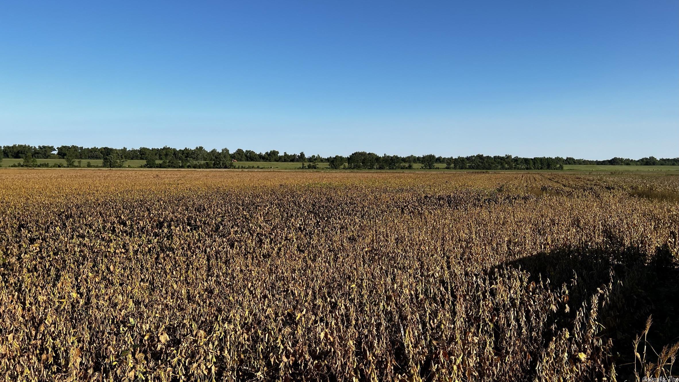 Not in Subdivision - Farm