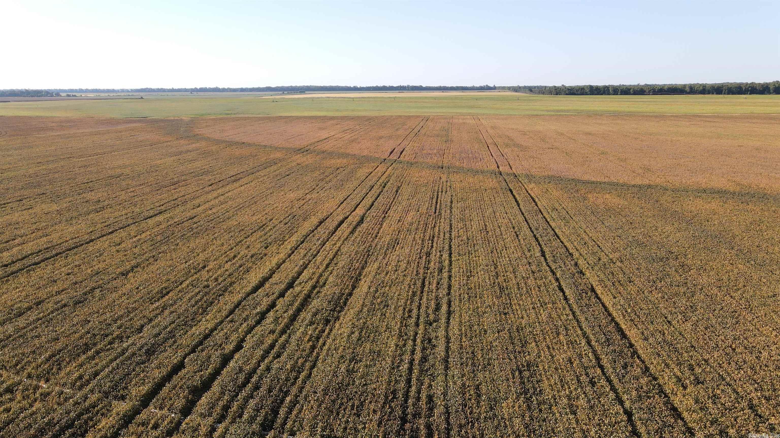 Located on the Monroe and Phillips County line, the Lambert Farm consists of 464 +/- total acres of tillable farmland and duck hunting timber. The Phillips County Farm Service Agency says the farm consists of 345.36 acres of tillable ground most of which is irrigated by 4 wells along with underground piping. The soils are a mix of Silt Loam and Silty Clay. The 2022 crop consisted of corn and soybeans. The current farm lease is a cash rent but expires December of 2022.