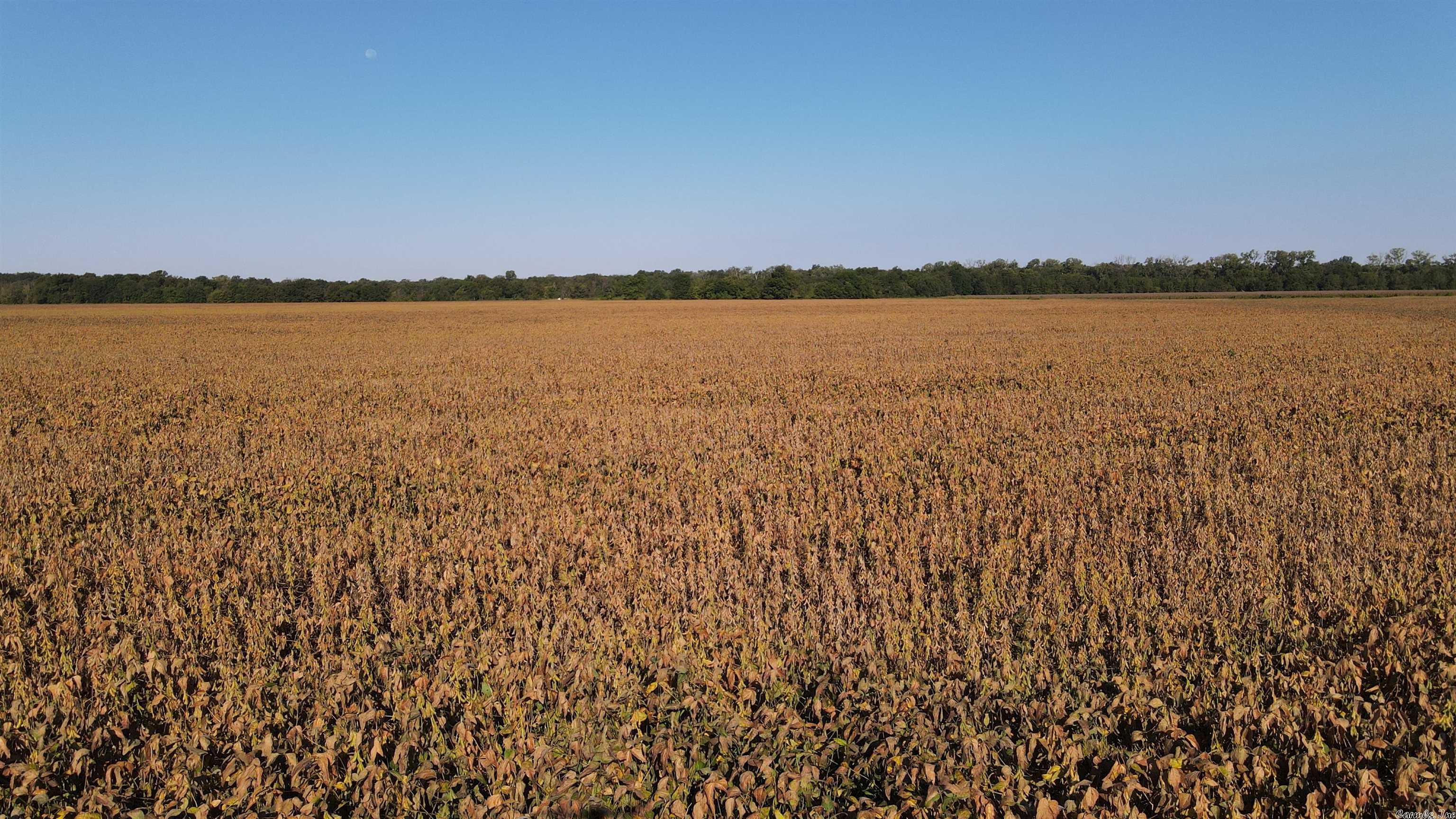 Not in Subdivision - Farm