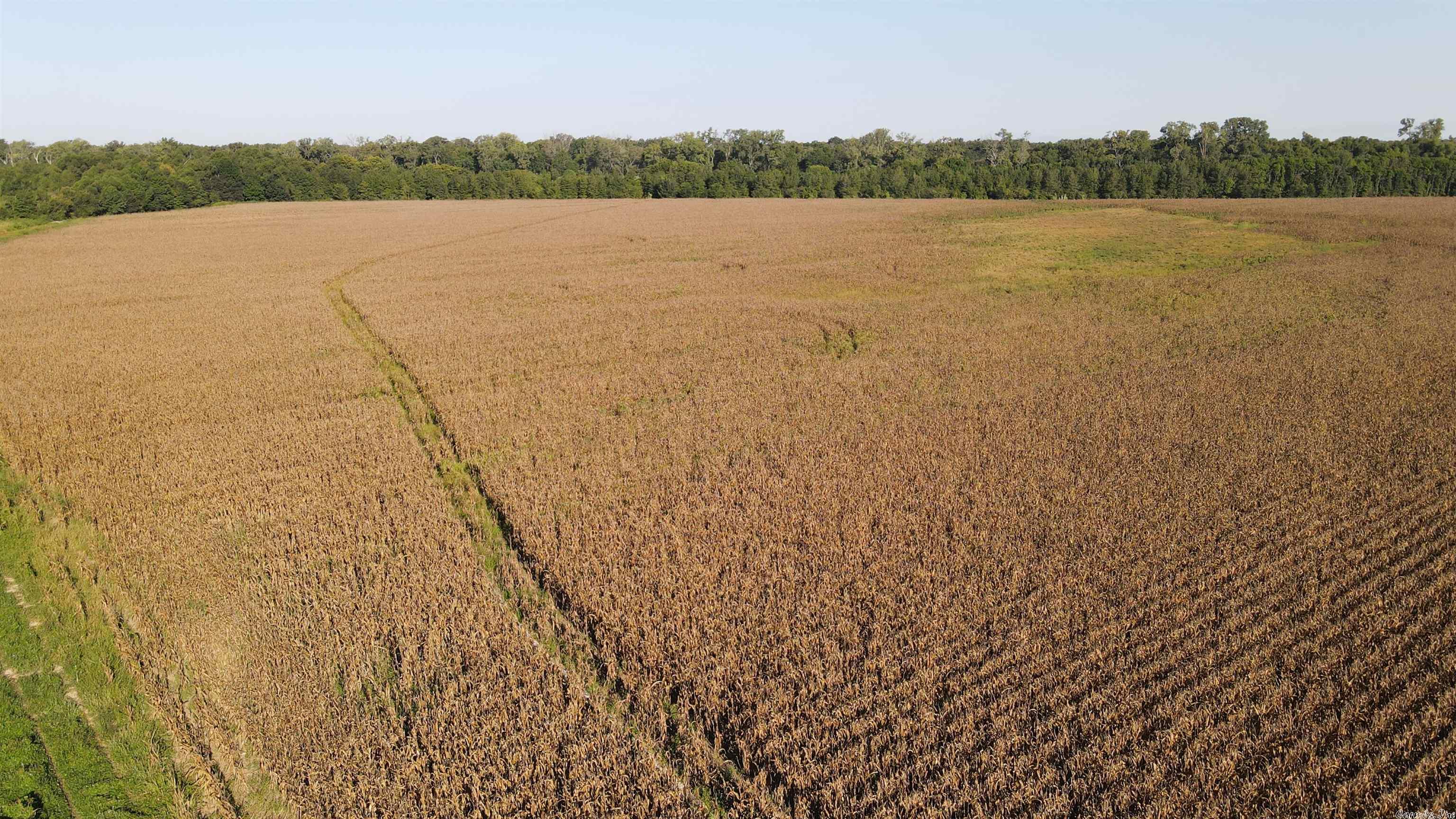 Not in Subdivision - Farm