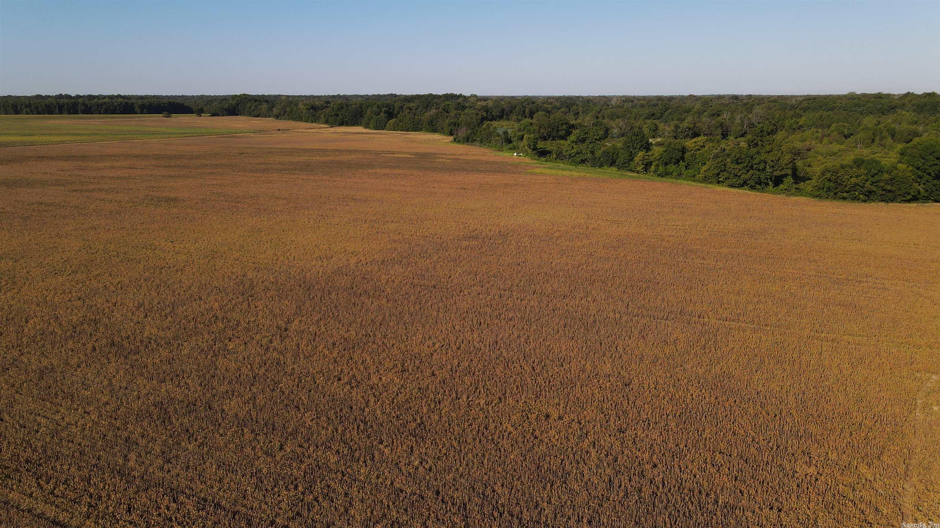 Not in Subdivision - Farm