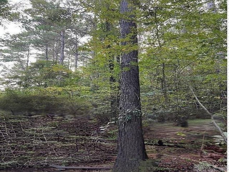 Hunting property with wonderful hills and valley in the area of AR TX hills. The property has a great creek and 67 acres of lots of marketable timber as well as several paths for a 4 wheel or hiking adventure. This property would make a great place for a hunting cabin with hills and rugged terrain and a live creek. Also joins MC 284 on north side of property.