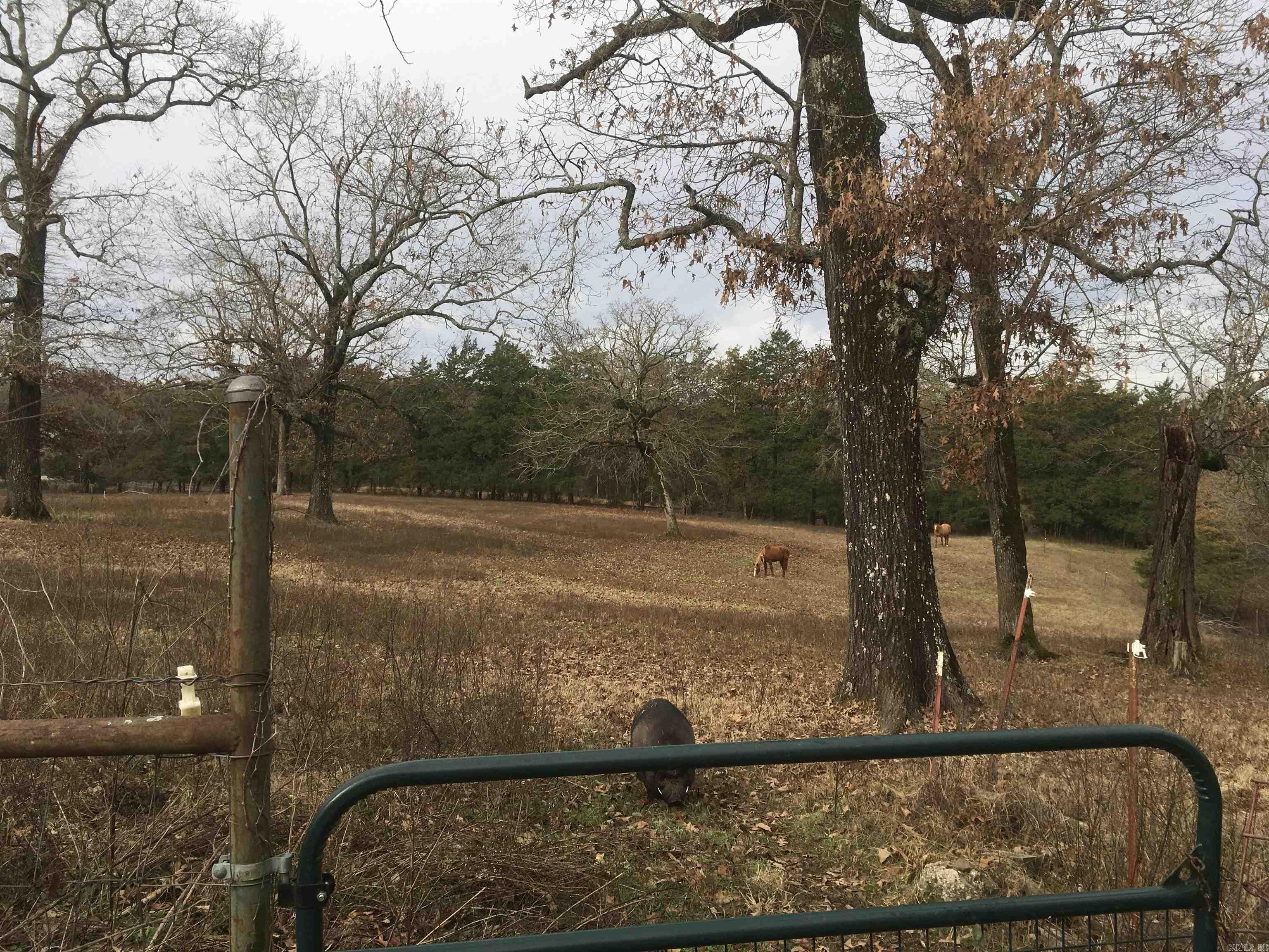 Polk County - Residential