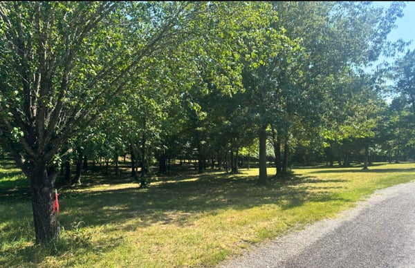 LOT 21 EMBER RD, SHIRLEY, AR 72088 - Image b9b426ce957eda408c2a9e2d1c29be10/1075217547