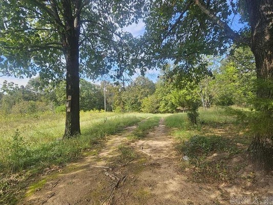 16 FOX RUN LN, GREENBRIER, AR 72058 - Image b9c3cd473883cc22329ea79c67eaf8cf/366469314