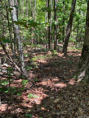 CASTANO (LOT 12) LANE, HOT SPRINGS VILLAGE, AR 71909 - Image b9ca2a52eeb2c375b03586bc4dacc3ae/107003624