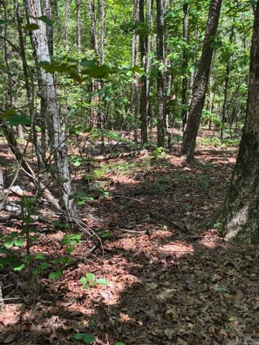 Vacant wooded lot with plenty of room to build your dream home! Centrally located to Hot Springs Village amenities: lakes, golf, trails, restaurants! POA New Member Buy-In Fee required at closing.