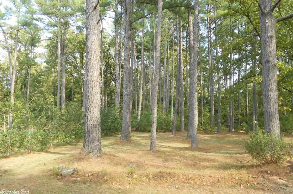 SECLUDED HILLS - Residential