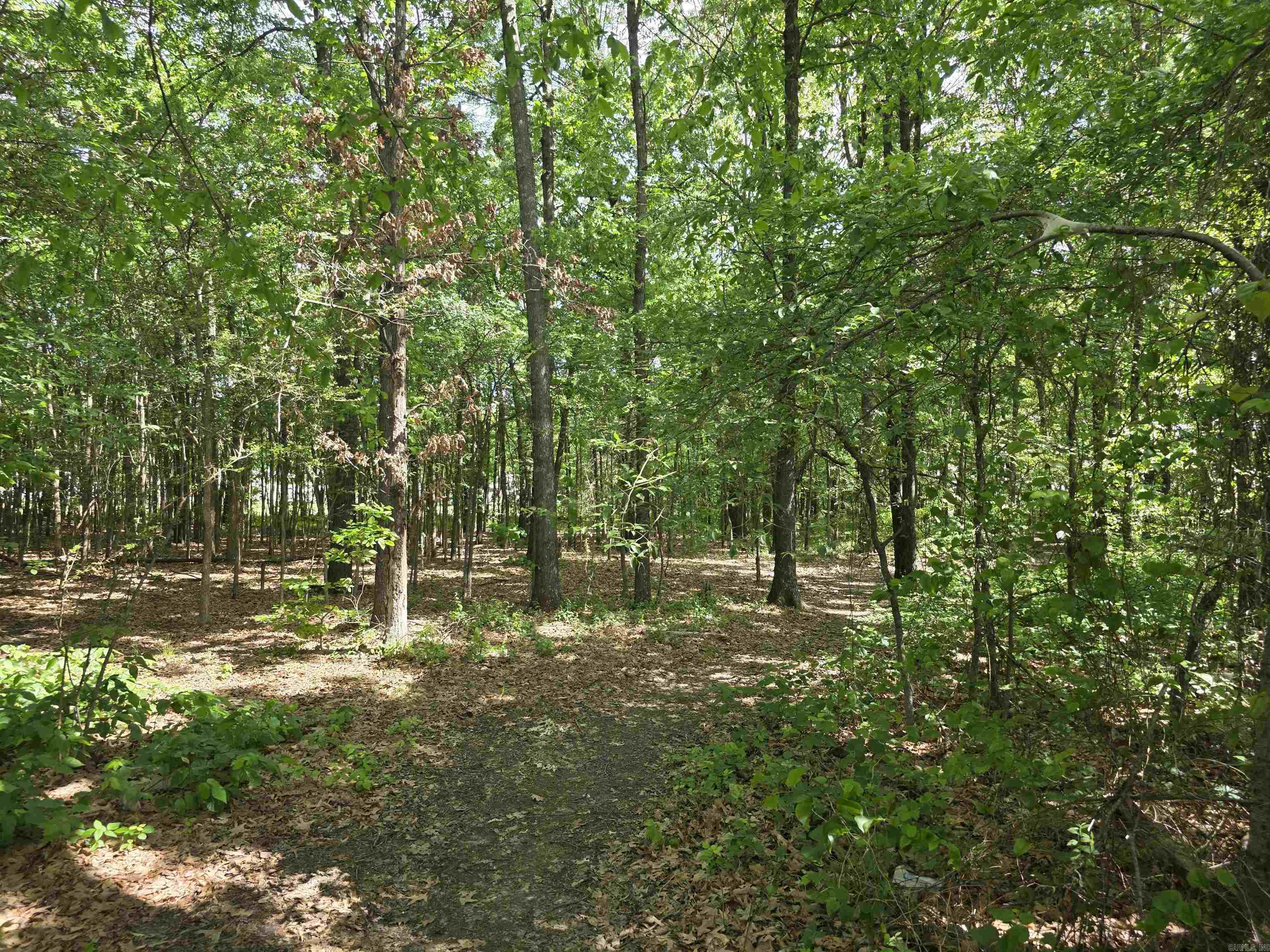 Not in Subdivision - Land