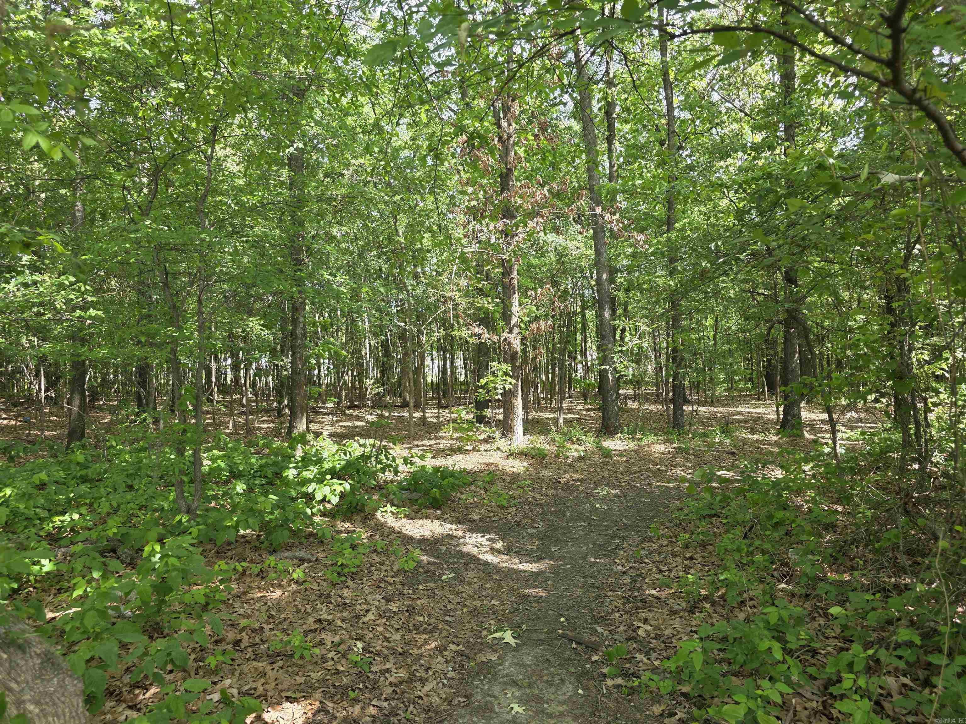 Not in Subdivision - Land