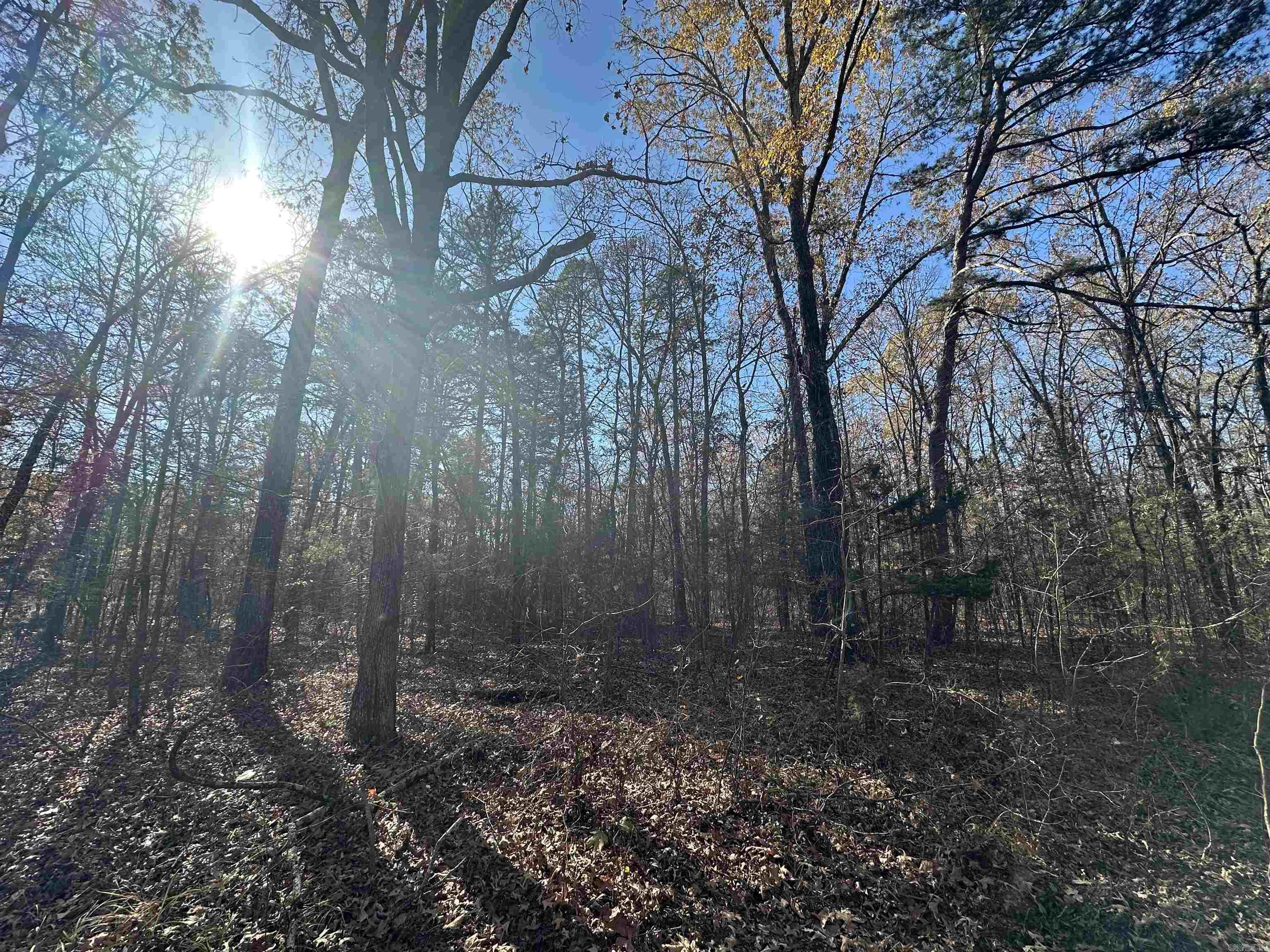 Nice buildable lots located right in the middle of town and close to EVERYTHING. These won't last long so call today.