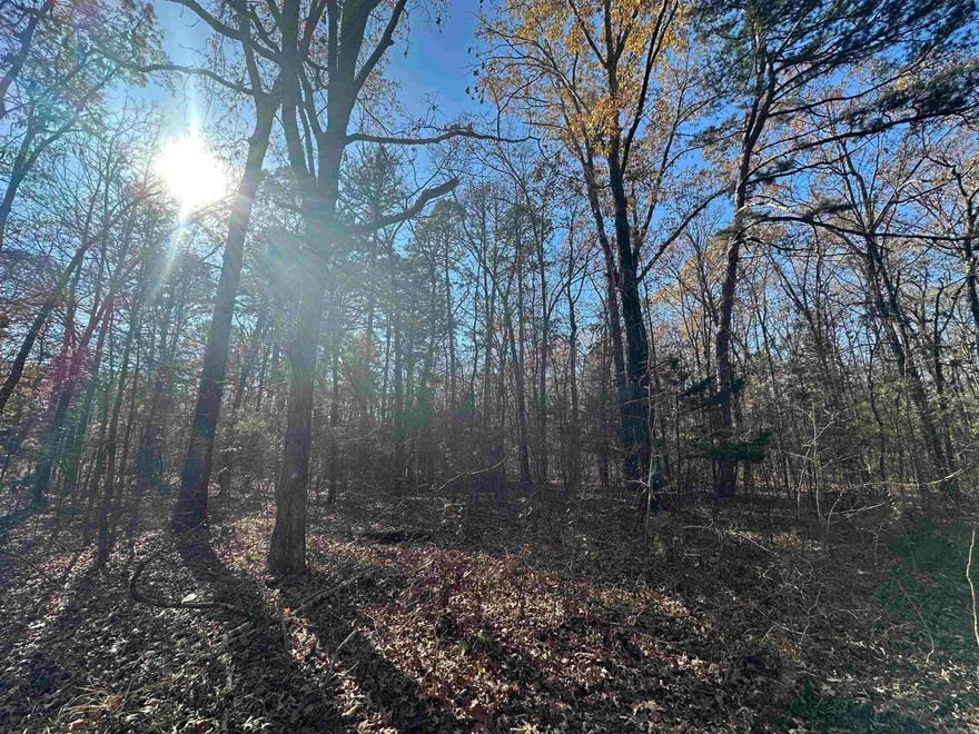 Nice buildable lots located right in the middle of town and close to EVERYTHING. These won't last long so call today.