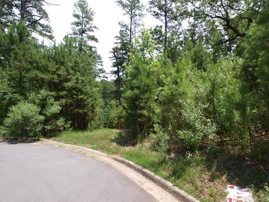 Cul-de-sac lot with view of the Arkansas River.