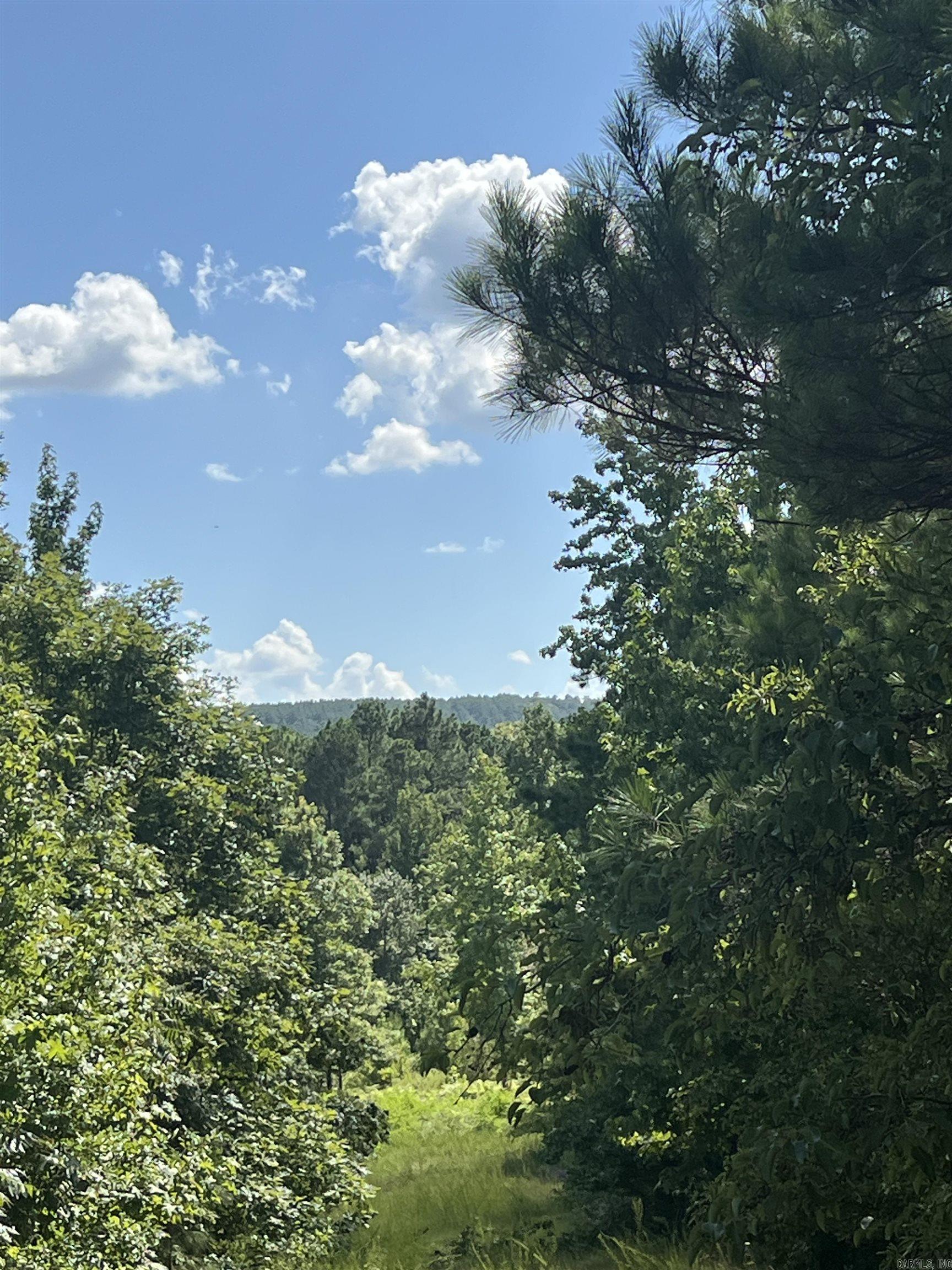 11.52 acres+/- with John Ashley road frontage, features scenic views and trails running through the property.
