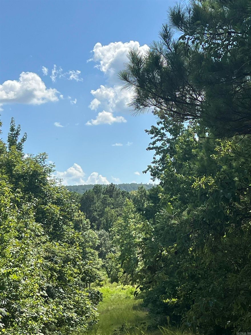 11.52 acres+/- with John Ashley road frontage, features scenic views and trails running through the property.