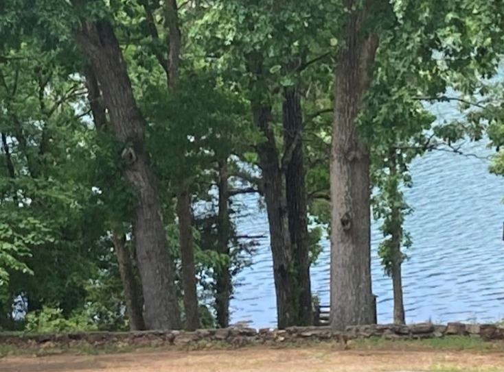 Lake - Residential