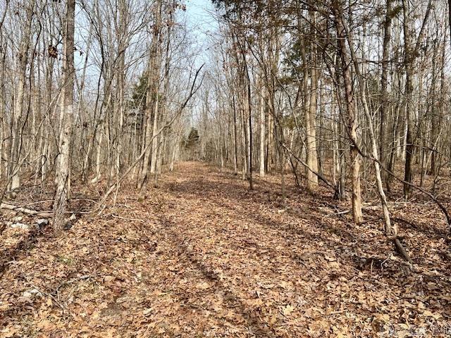 Not in Subdivision - Land