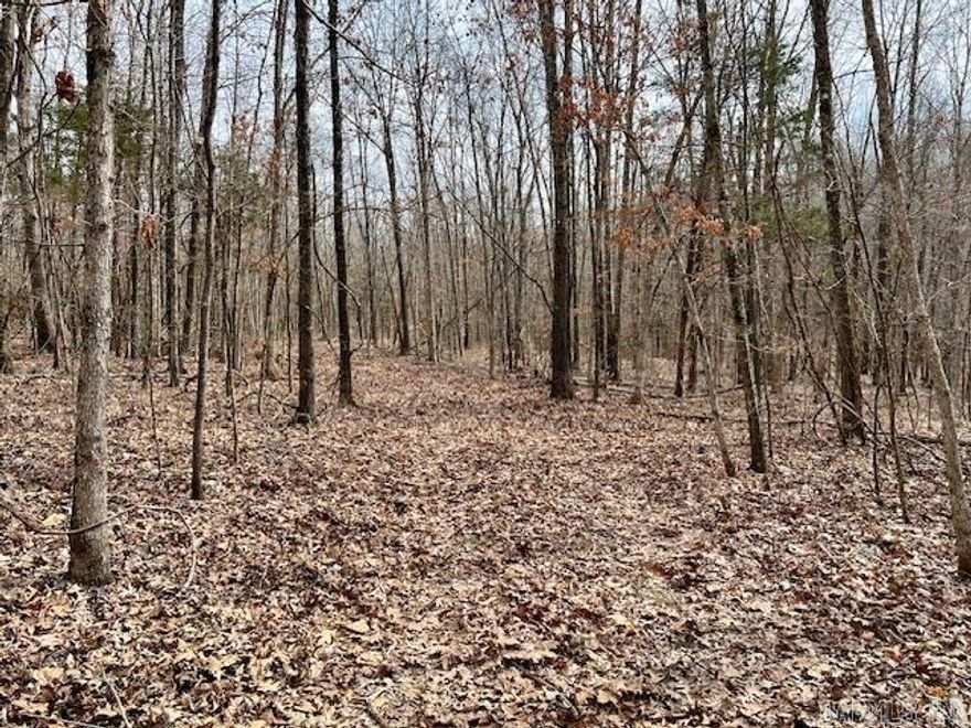 Nestled just 15 miles north of the charming town of Pocahontas, Arkansas, lies a pristine 40-acre expanse of wilderness awaiting the avid hunter's delight. Situated in the picturesque landscape of Randolph County, this remarkable parcel of land promises not just an escape from the hustle and bustle, but an unparalleled opportunity for both seasoned hunters and outdoor enthusiasts alike.  Don't miss your chance to own a piece of hunting paradise in the heart of Randolph County. Whether you're seeking adventure, solitude, or simply a place to reconnect with nature, this 40-acre haven offers endless possibilities for outdoor enthusiasts and hunters alike. Embrace the call of the wild and make your hunting dreams a reality in this remarkable slice of Arkansas wilderness.