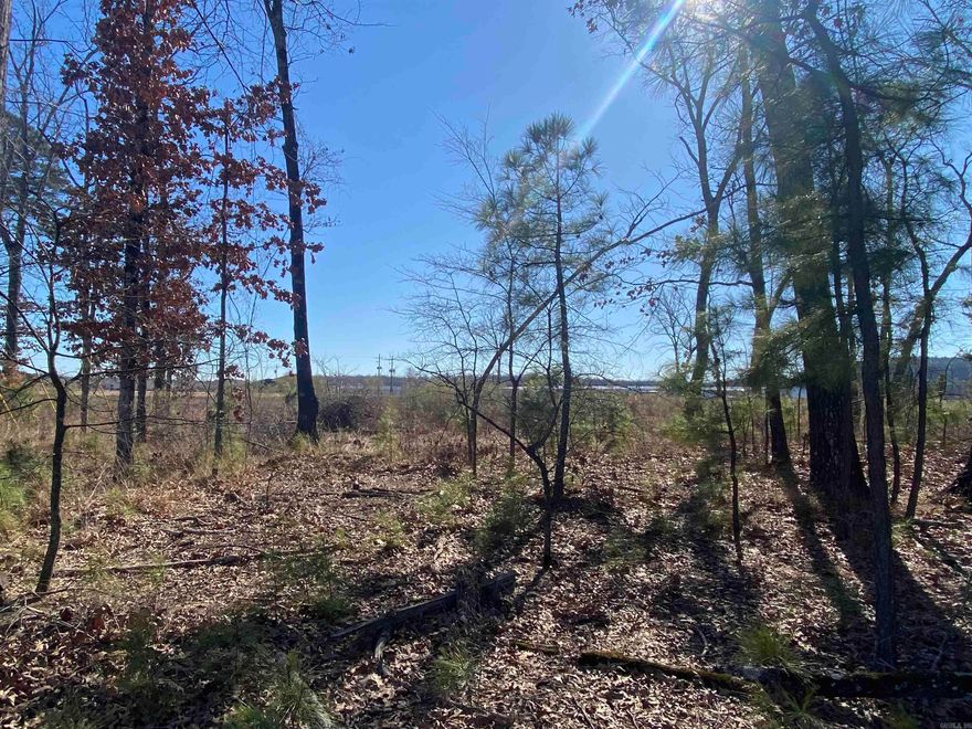 This lot of land is in a prime location for all your commercial needs! Directly across from Maumelle Charter High School and on the highly trafficked Counts Massie Rd., the possibilities are endless!   Parcel #: 43N-010-00-010-00