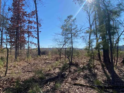 MLS: 25009457