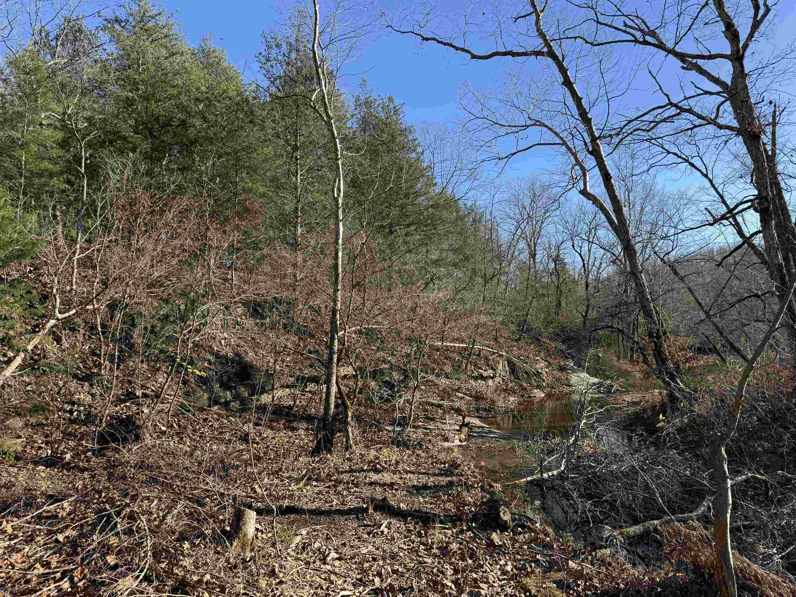 Metes & Bounds - Land