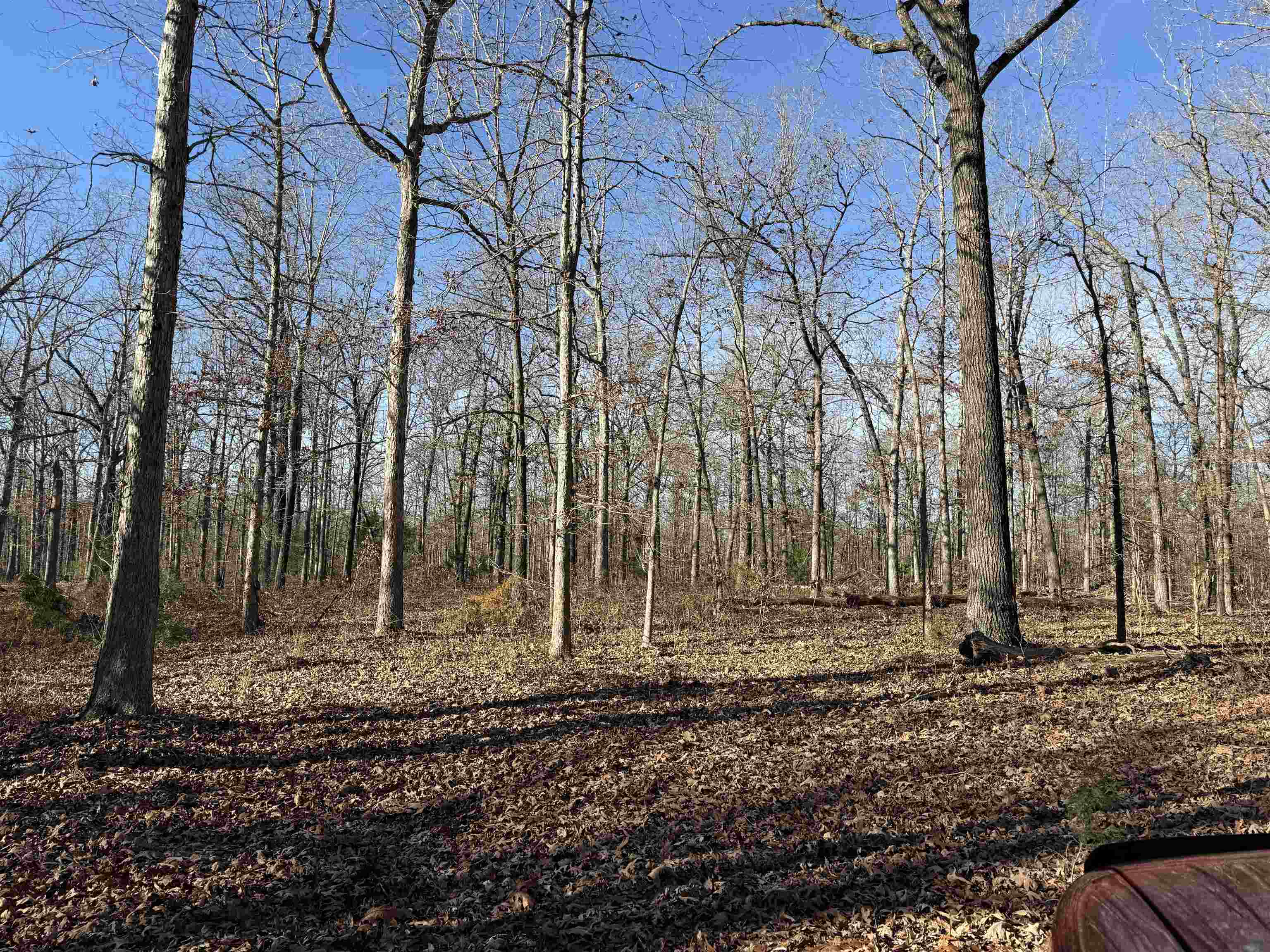 Metes & Bounds - Land