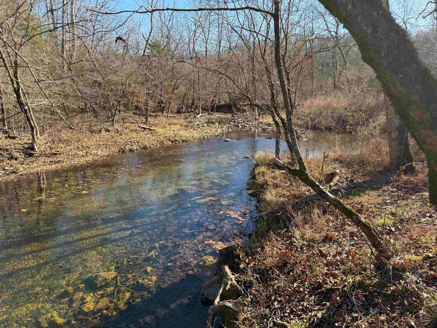 Agent Owned...Discover the perfect blend of opportunity and natural beauty of this remarkable tract of land that is just under 200 acres. Dayberry creek winds through the property, adding both charm and dependable water access.  The land has already been surveyed, and offers and impressive flat area that's been approved for two 30,000 hen Happy Egg barns.  This would work for anyone looking to step in to, or expand, within the poultry business.  There is additional space for more poultry houses, if desired.  The large level section could be cleared for pasture, or other agricultural uses. The proprty features marketable timber for added value, and the surrounding landscape offers truly amazing views in every direction.  Whether you're seeking an agricultural investment, a working farm site, hunting land, or a beautiful home site, this property has endless potential.  The property has a small section that fronts highway 62/63/412, that makes accessing it extremely easy.