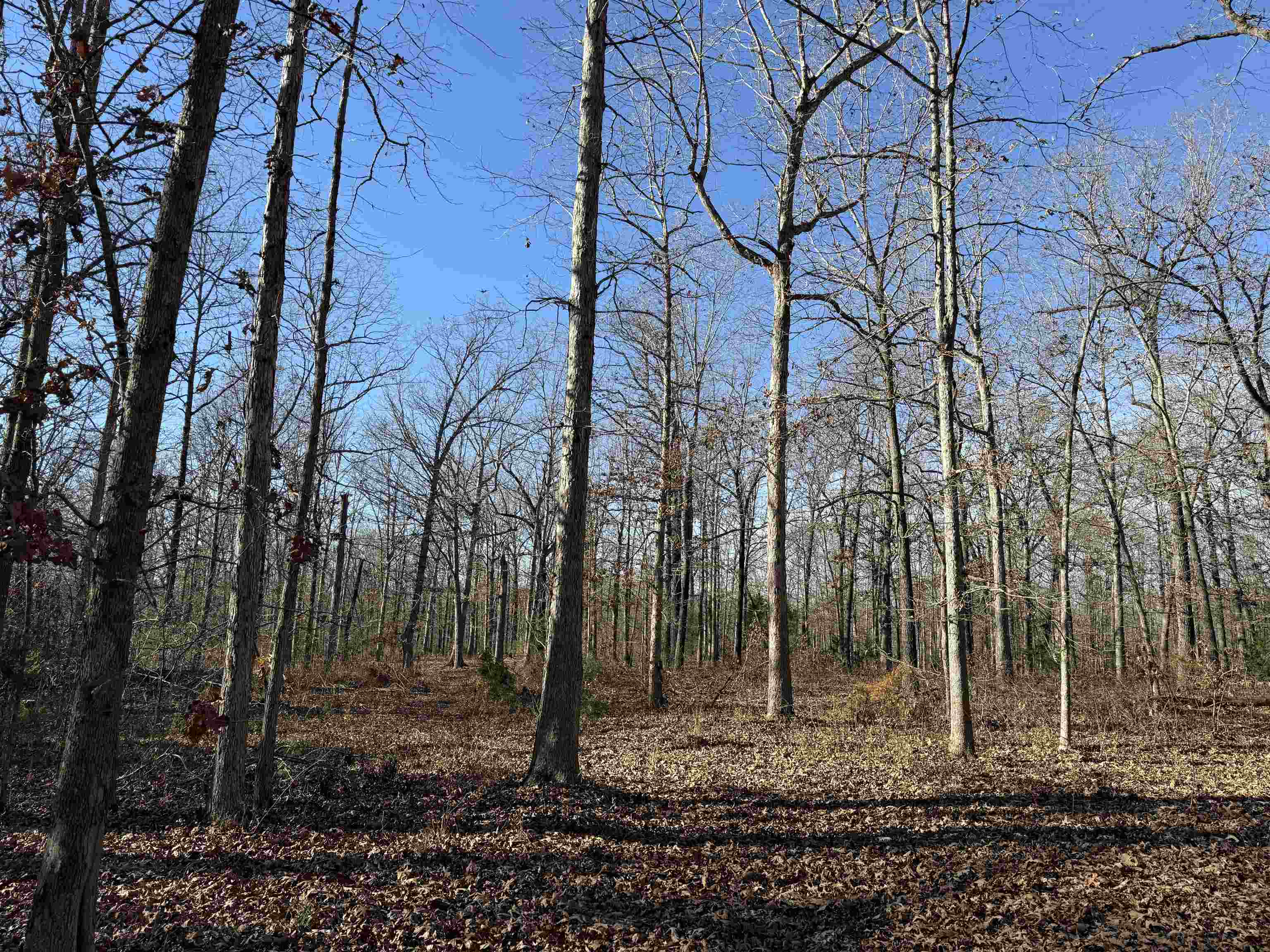 Metes & Bounds - Land