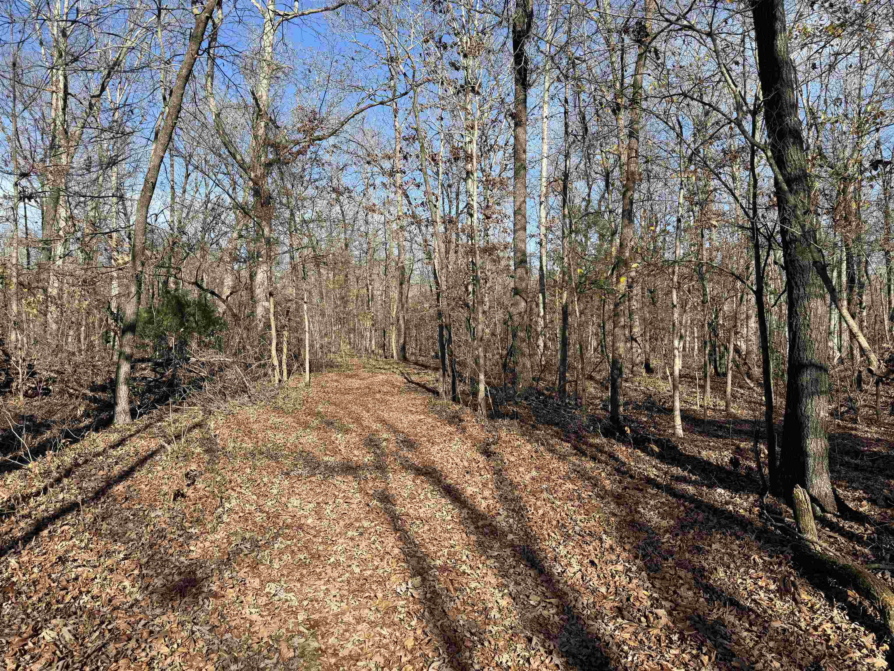 Metes & Bounds - Land