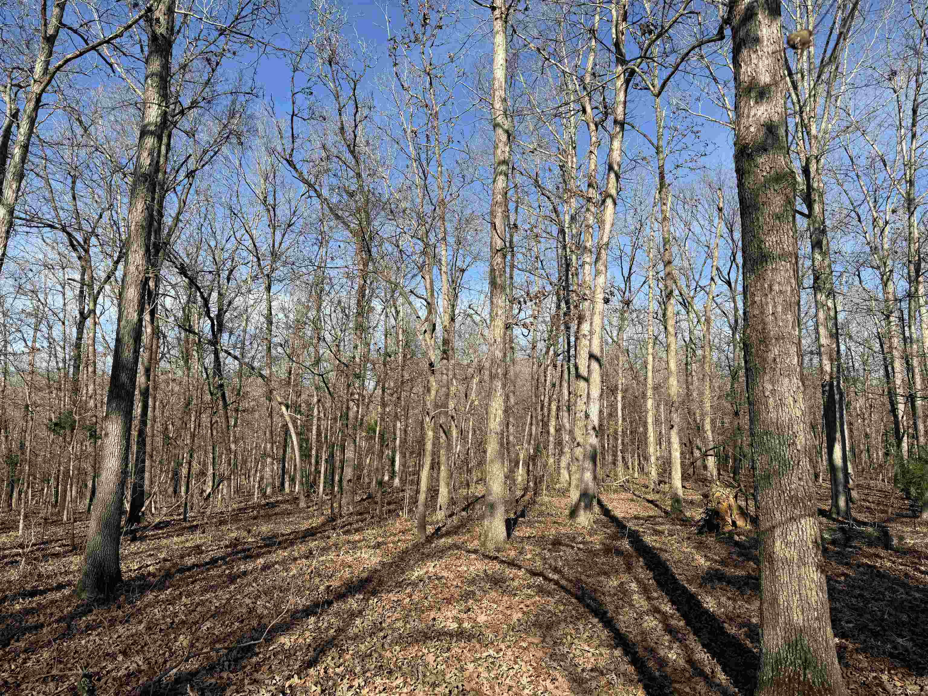 Metes & Bounds - Land