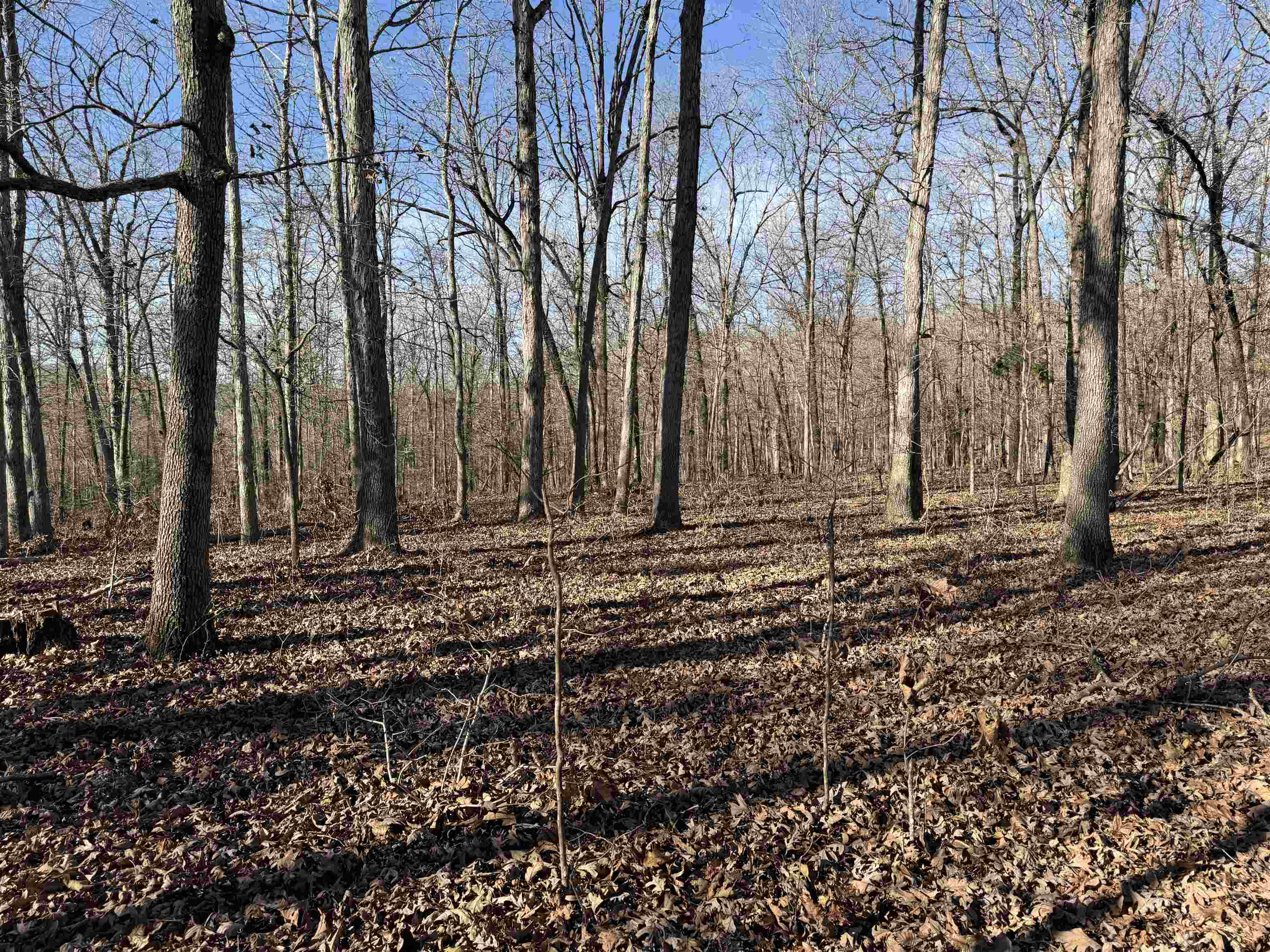 Metes & Bounds - Land