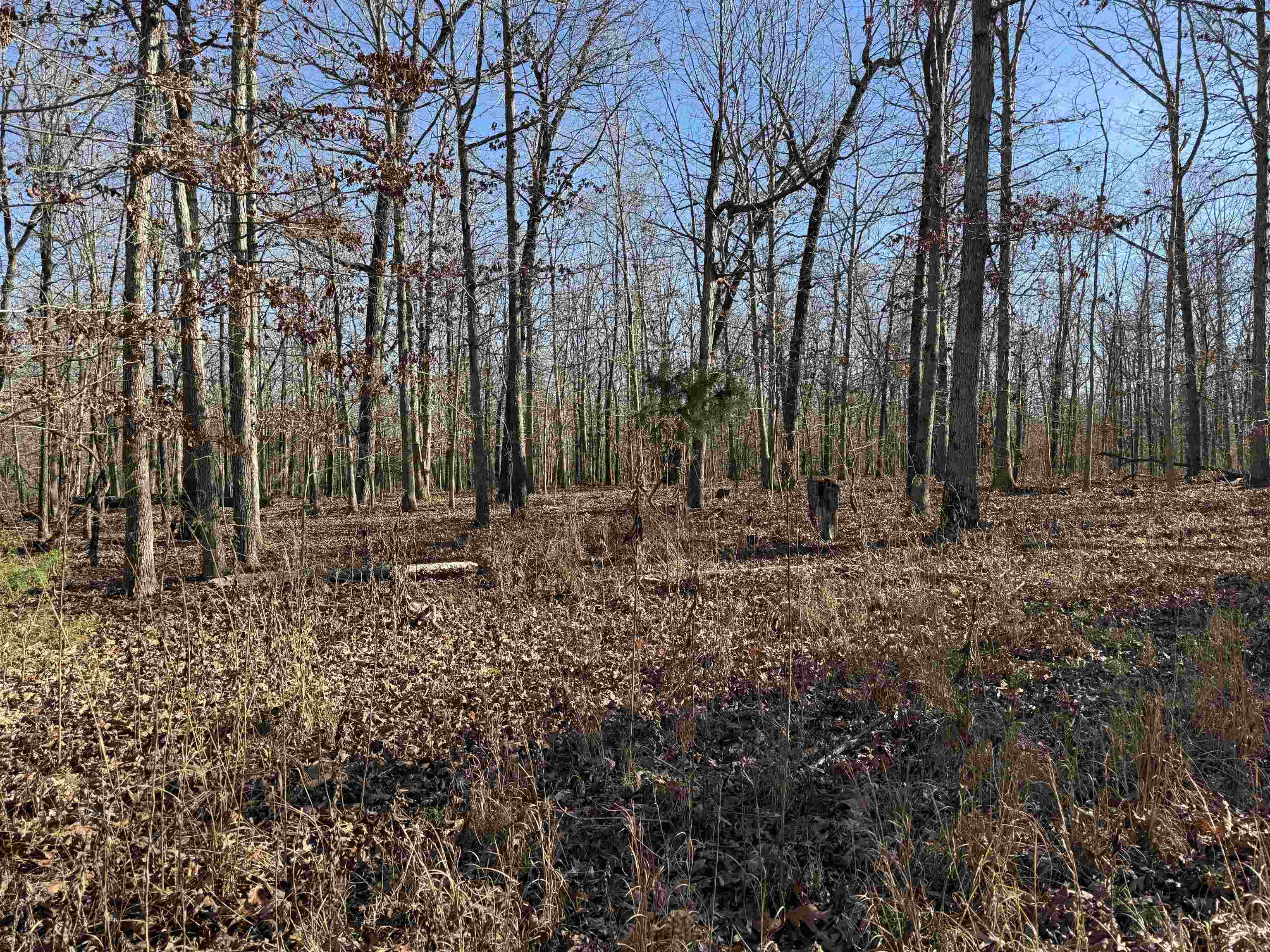 Metes & Bounds - Land