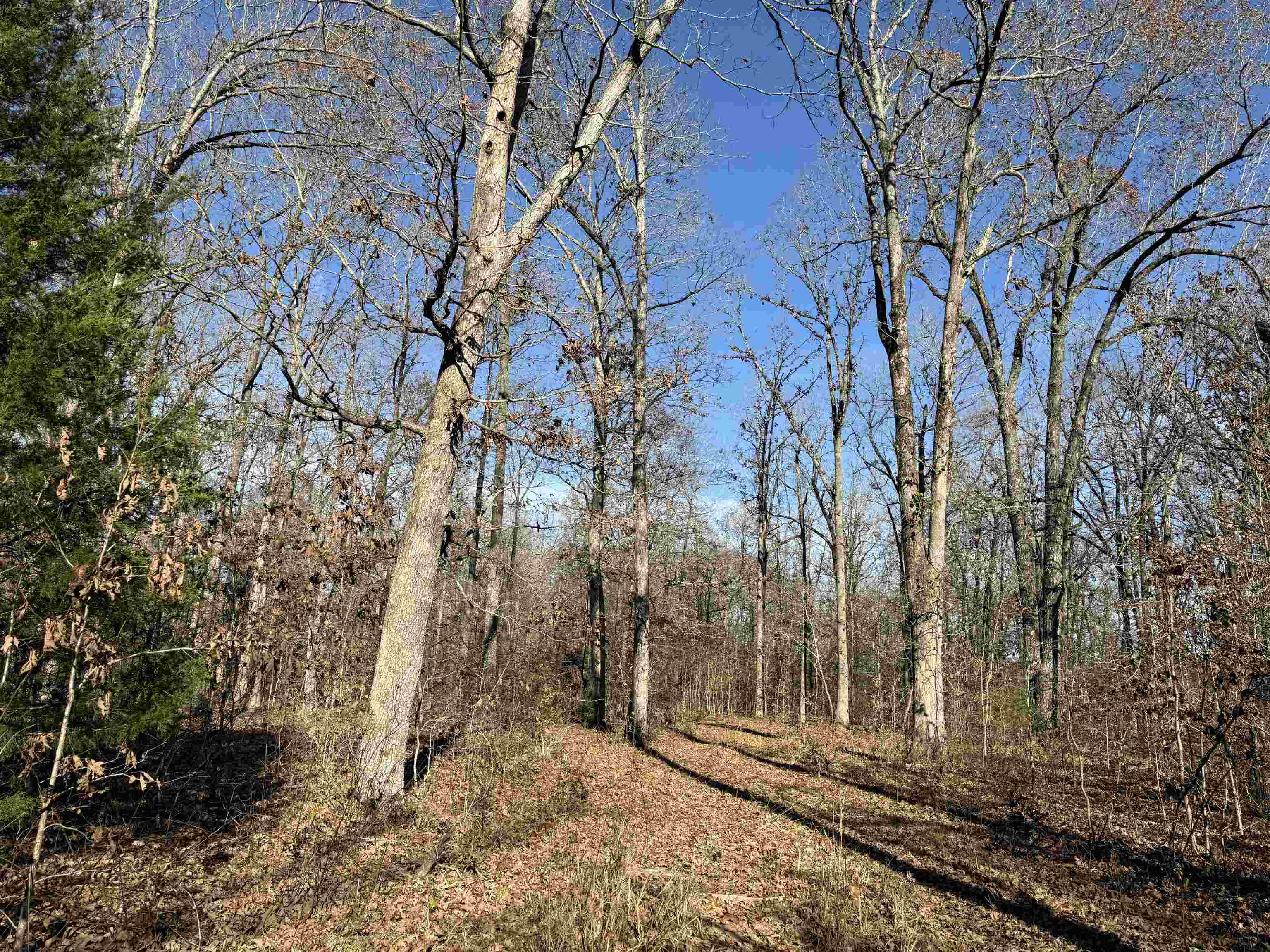 Metes & Bounds - Land