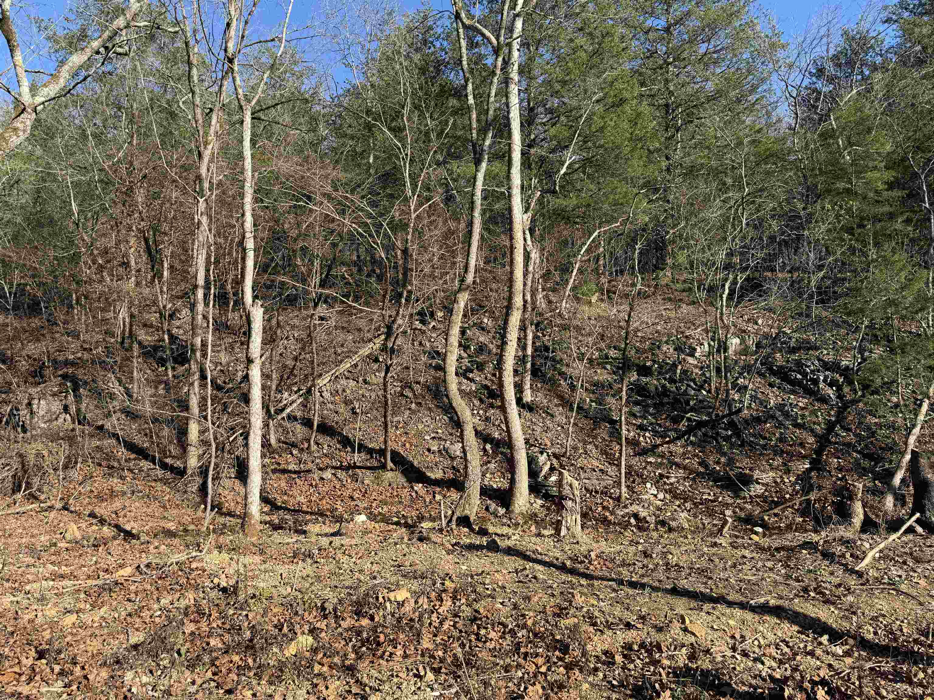 Metes & Bounds - Land