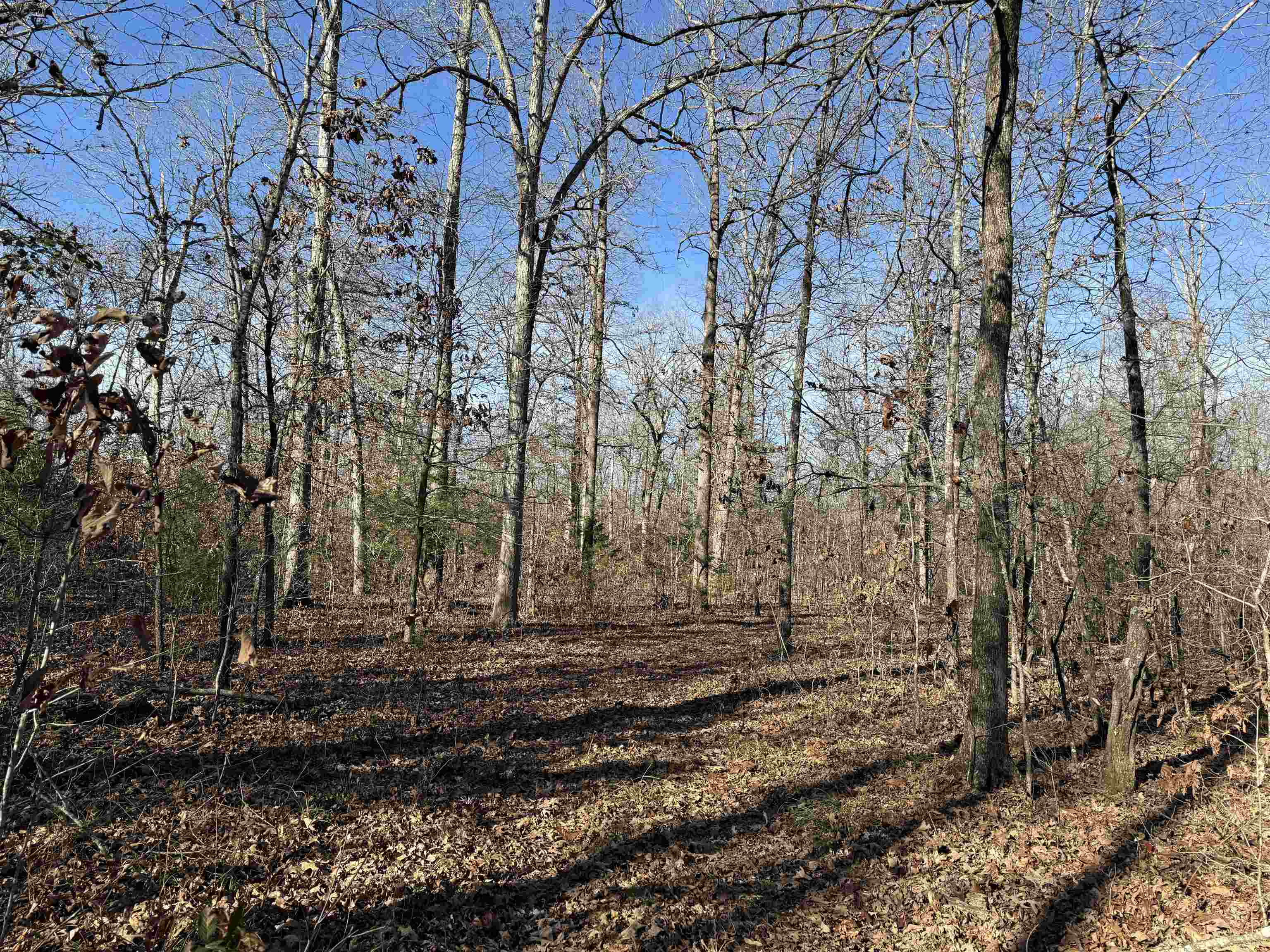 Metes & Bounds - Land