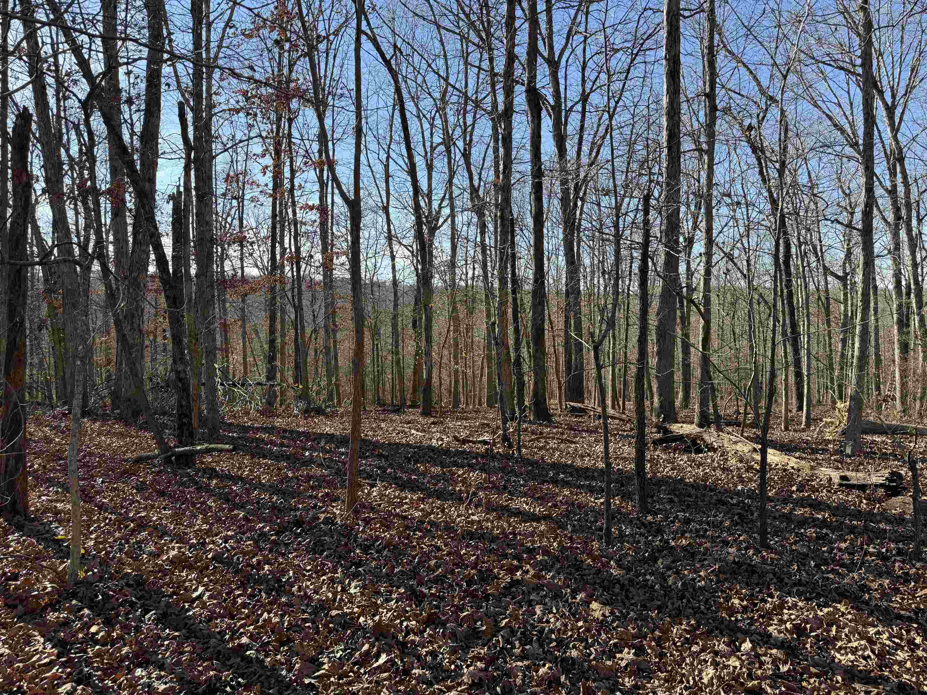 Metes & Bounds - Land