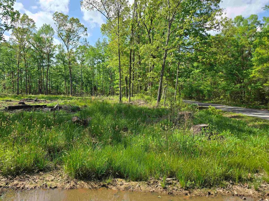 6 beautiful acres in a private country setting! Partially cleared and ready for your dream home. Located in Bebee school district and just a short 20 minute drive to Cabot or Searcy.