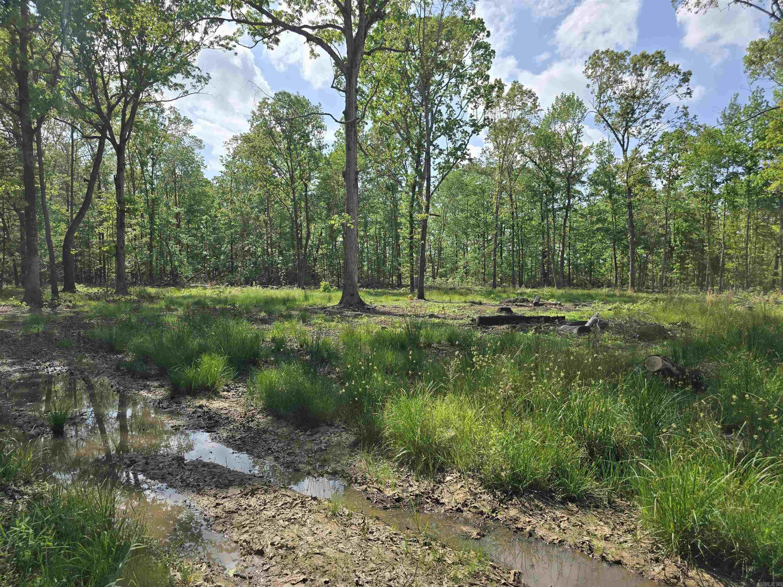 Not in Subdivision - Land