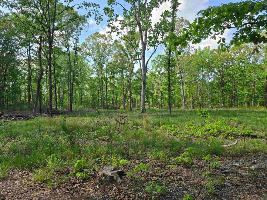 6 beautiful acres in a private country setting! Partially cleared and ready for your dream home. Located in Bebee school district and just a short 20 minute drive to Cabot or Searcy.