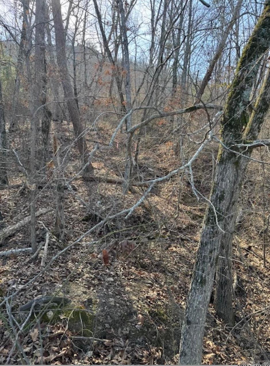 Diamond Bluff Estates - Land