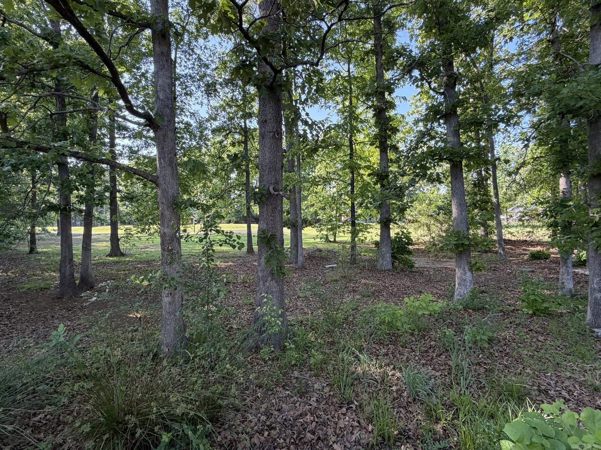 COUNTRY CLUB OF ARK THE - Residential