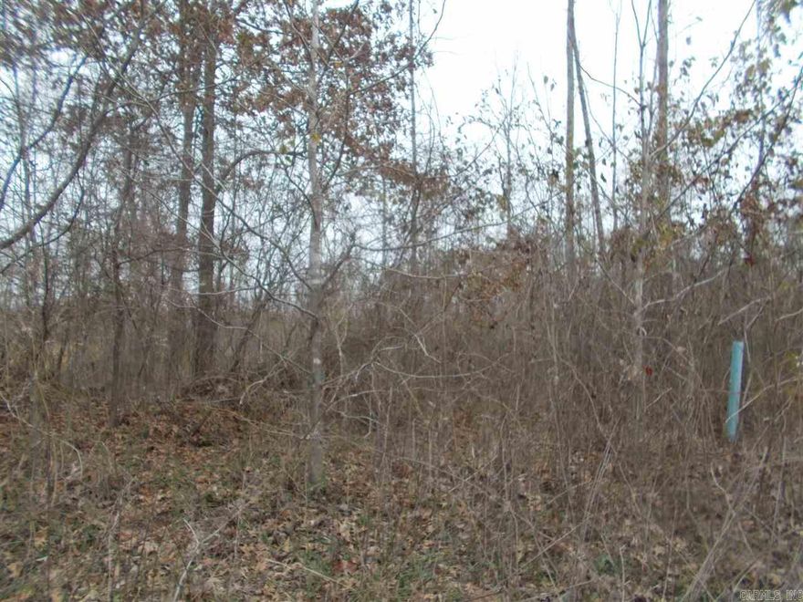 Why not Silver Springs? Incredibly priced lots where reasonably priced homes can be built and are in a great school district! Research Harmony Grove Schools and you'll see! Enjoy wide streets, sidewalks! Electric, sewer and water utilities available! Across the street from Silver Springs CC #7 tee box. Qualifies for RD loans! Lots are mostly level! See Agent Remarks